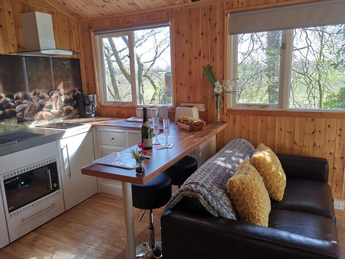 Treeside Woodhouse Villa Hawkshead Dış mekan fotoğraf