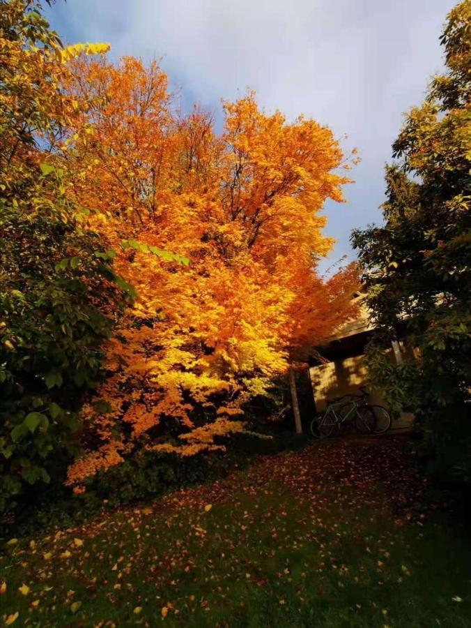 Treeside Woodhouse Villa Hawkshead Dış mekan fotoğraf