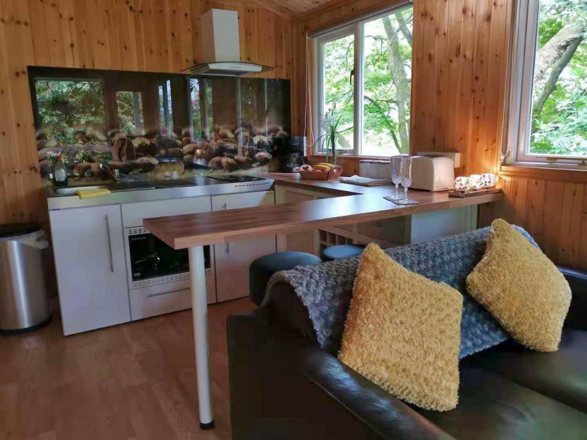 Treeside Woodhouse Villa Hawkshead Dış mekan fotoğraf