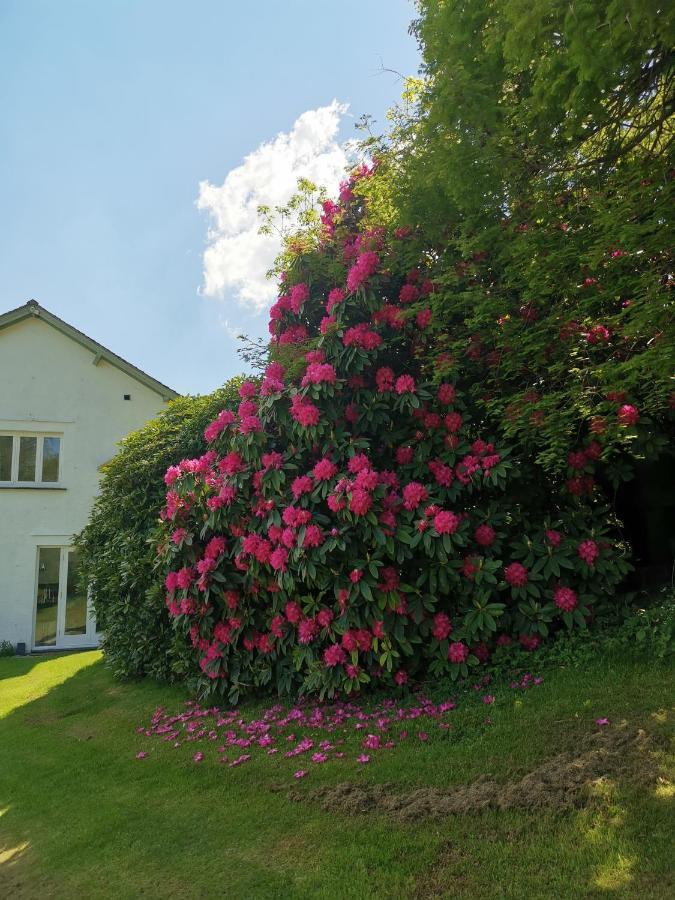 Treeside Woodhouse Villa Hawkshead Dış mekan fotoğraf