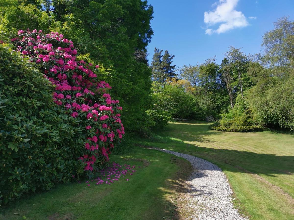 Treeside Woodhouse Villa Hawkshead Dış mekan fotoğraf