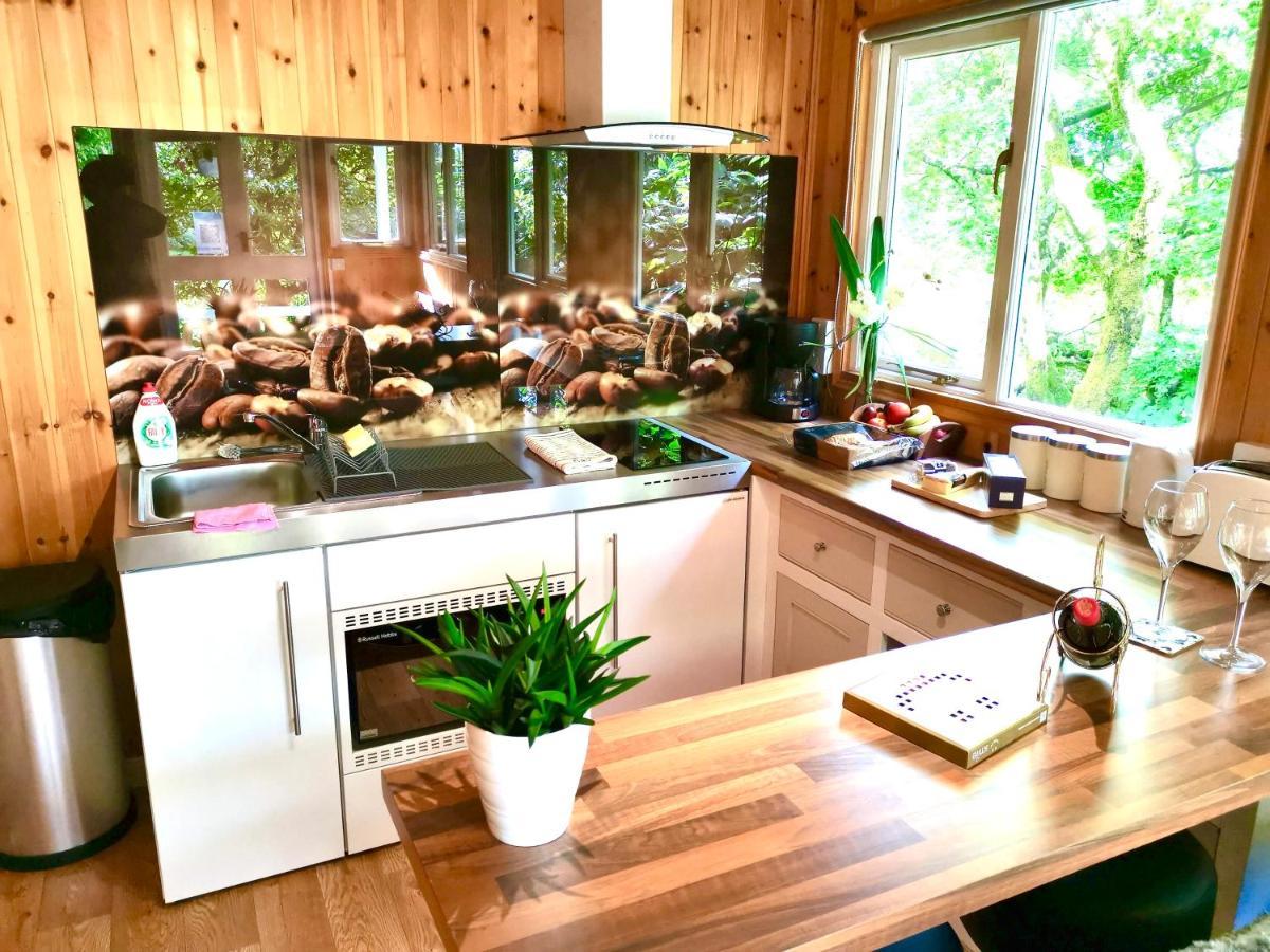 Treeside Woodhouse Villa Hawkshead Dış mekan fotoğraf