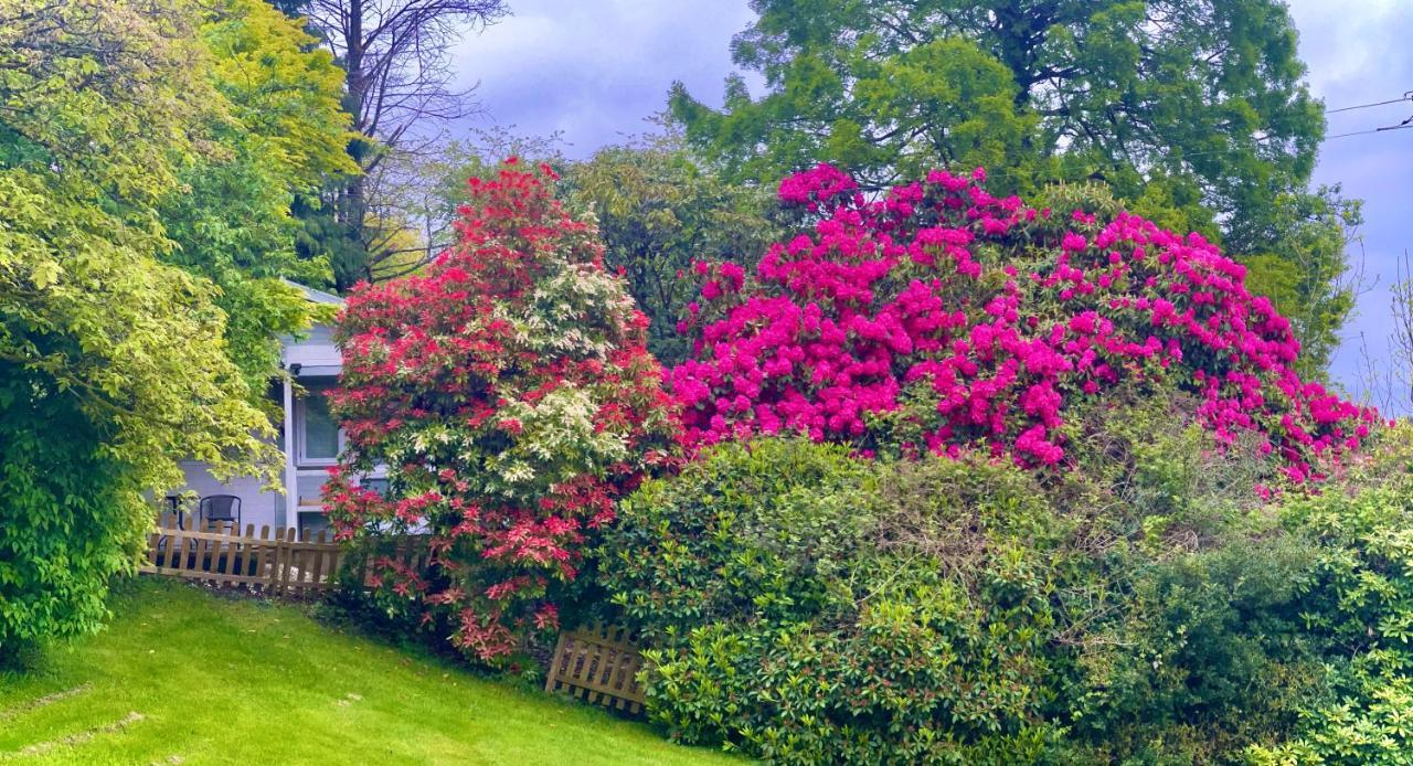 Treeside Woodhouse Villa Hawkshead Dış mekan fotoğraf