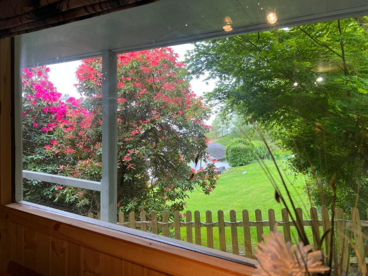 Treeside Woodhouse Villa Hawkshead Dış mekan fotoğraf