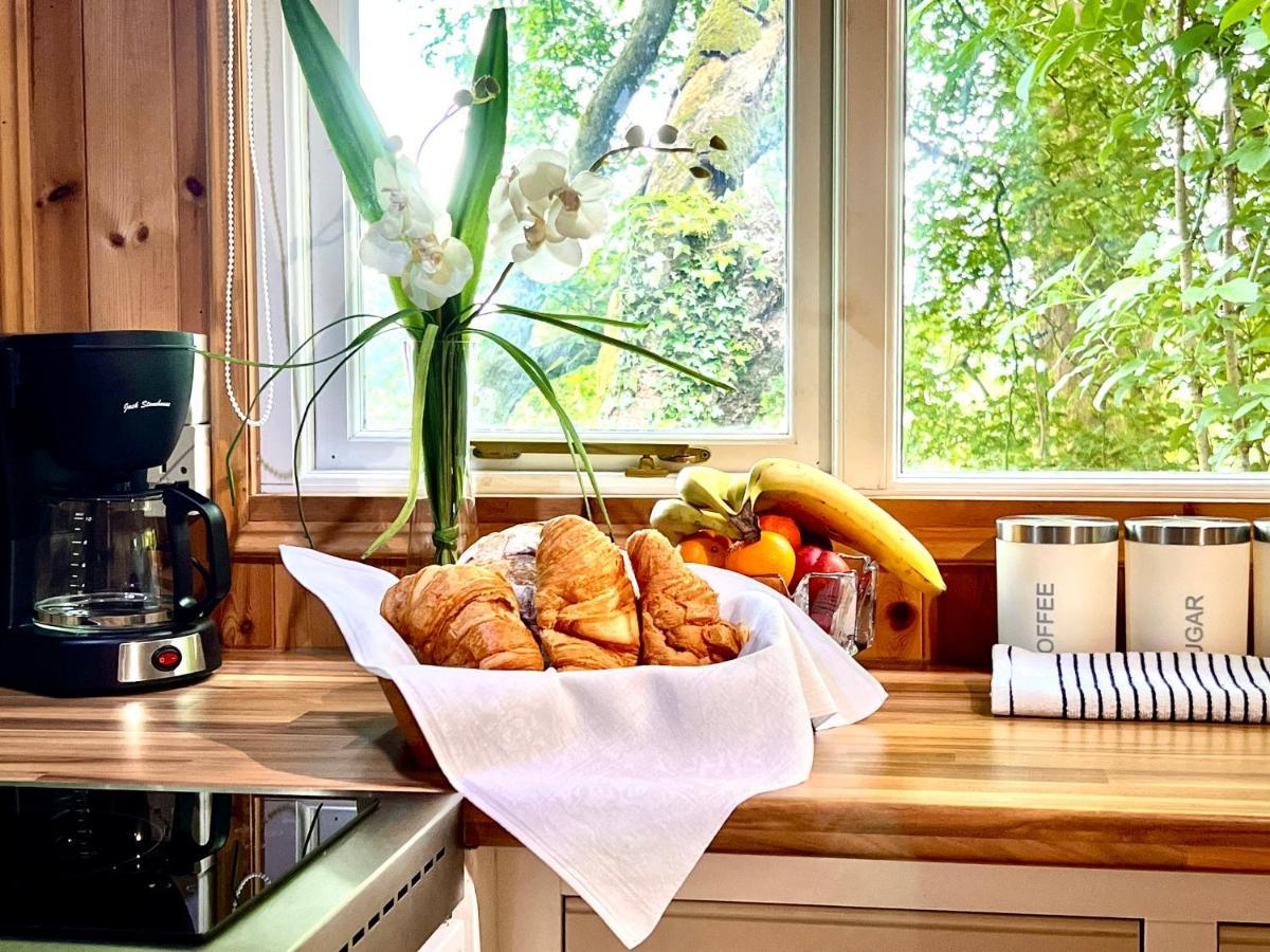 Treeside Woodhouse Villa Hawkshead Dış mekan fotoğraf