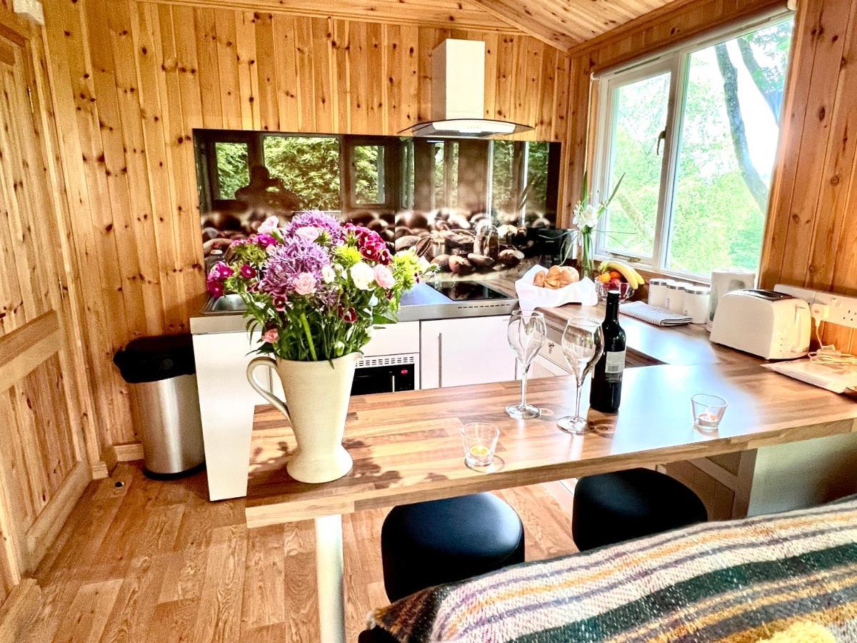 Treeside Woodhouse Villa Hawkshead Dış mekan fotoğraf